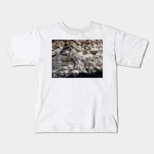 Forest Sun Rays in the Snow  #35 Kids T-Shirt